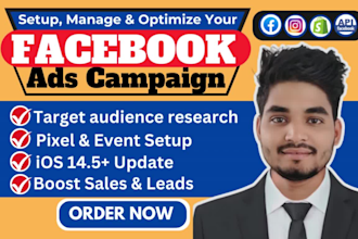 setup and manage facebook and instagram ads campaign for sales and leads