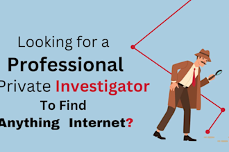 be your private investigator, osint, detective, background check, forensics