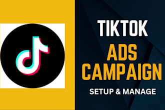 run tiktok ads campaign, tik tok ads, tiktok advertising