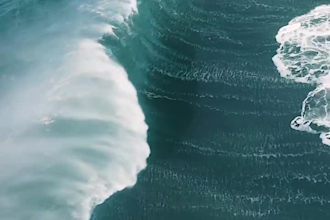 realistic 3d fluid, physics simulation, water simulation, houdini water behavior