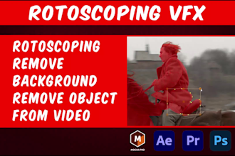 vfx artist for rotoscoping, vfx compositing, remove video background