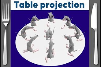 an immersive dinner table projection mapping