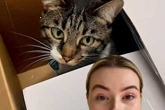 create pet ugc with my cat or dog to boost social engagement