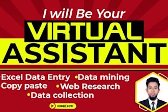 do accurate and fast data entry as a virtual assistant