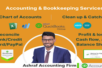 serve professional accounting and bookkeeping services
