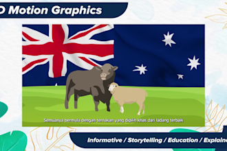 create a custom 2d motion graphics explainer video