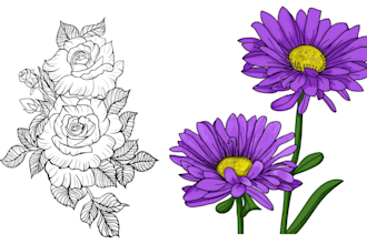 draw a botanical illustration of flowers, plants, and fruits, line art
