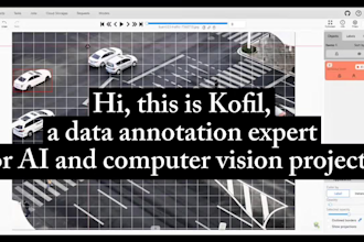 do professional image annotation and video data annotation for ai