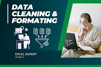 do excel data cleaning, data formatting and data extraction with accuracy
