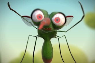 do 2d and 3d animations and 2d and 3d character animations