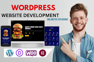be an expert wordpress developer, custom themes and plugins