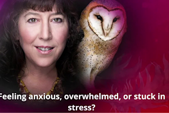 guide your emotional healing with mind body spirit coaching