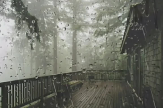 create relaxing rain video loop with natural rain sounds, thunder