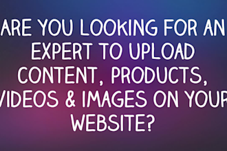 upload content, video upload, product upload on wordpress website