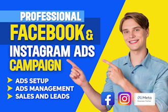 setup and manage facebook ads campaign, instagram ads, fb or meta ad marketing