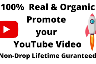 do organic promotion to youtube channel and video SEO