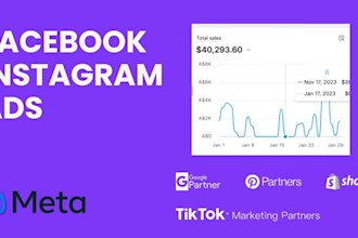 create facebook and instagram ads for e commerce brands and lead generation