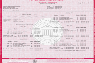 design college transcript, university transcript and certificate template design