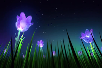 provide meditation music videos