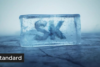 do a custom 3d logo animation and intro video