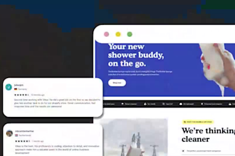 build a professional ecommerce store or shopify website
