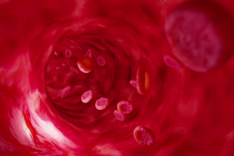create scientifically accurate 3d medical and pharmaceutical animations