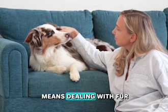 create dog and cat ugc video, dog product video dog content for social advert