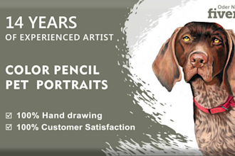 draw an attractive color pencil portrait of your pet