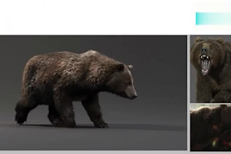 create realistic 3d animal animation, 3d animal model, 3d animal fur, rigging
