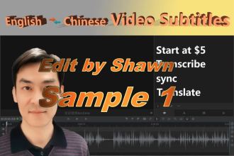 add professional chinese or english subtitles captions to video