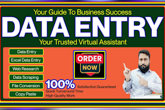 be your expert excel data entry typing work job copy paste and web research