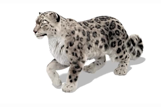 do 3d animal model, animal character, 3d animal animation, 3d animal rigging