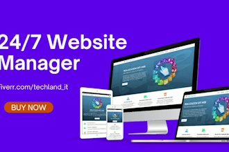 be your 247 wordpress website manager, manage website or blog