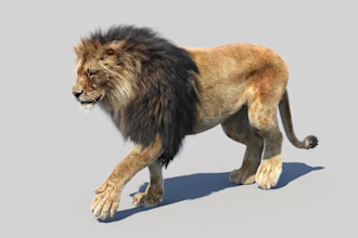 do realistic 3d animal animation, cgi animal modelling, xgen fur vfx composting