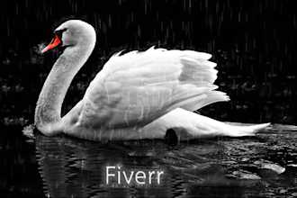 add rainfall in photo make animated GIF rain storm animation