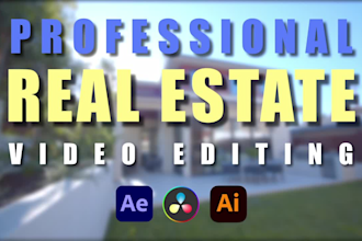 do professional real estate video editing within 24 hours
