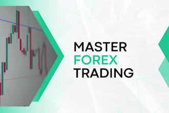 teach you my forex strategy which will make you profitable