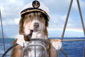 make this promo video with a funny dog sailing a yacht