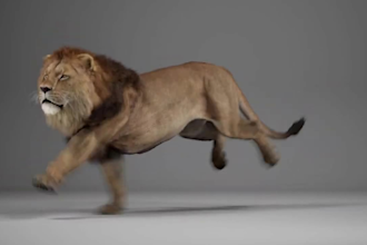 create 3d animal model, 3d rigging animation, animal fur xgen, 3d cute, 3d model