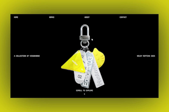 do webflow, framer interactive 2d 3d website rive animation 3d spline animation