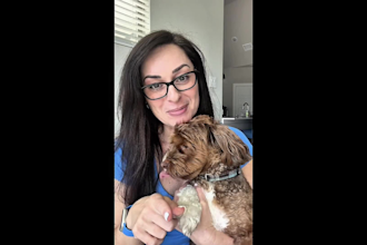 create dog ugc videos for your dog products or services
