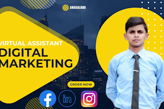 be your digital marketing virtual assistant and social media marketing manager
