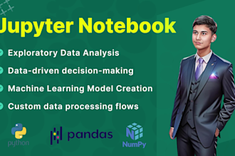 create a professional jupyter notebook using python