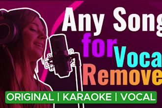 remove vocals from any song make karaoke