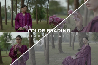 color correction, color grading video as colorist