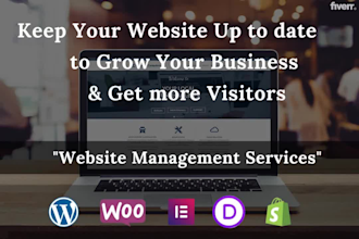 provide website maintenance service as virtual manager