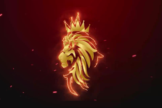 make a custom logo animation and intro in 24 hours pitch overlay