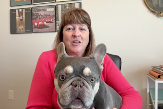 be your mature pet ugc creator with my french bulldog