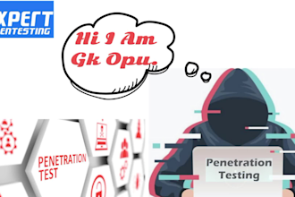 perform professional penetration testing to secure your website