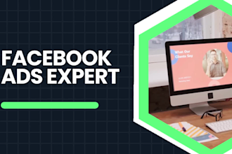 set up and manage a facebook page and ads campaign